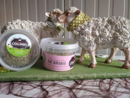 Fromage frais de brebis ail & fines herbes