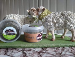 Fromage frais de brebis enrobé ail des ours