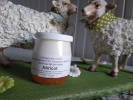 Yaourt de brebis abricot 125ml