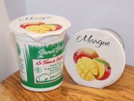 yaourt brassé demi-écrémé mangue – 125g