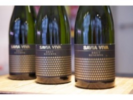 Cava Brut Reserva - bio -...