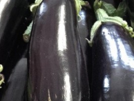 Aubergine