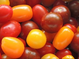 tomates apéro 350g