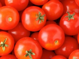 Tomates cerise / Kerstomaatjes