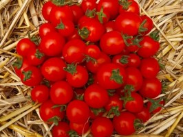 Tomates cerises rouges - 250g