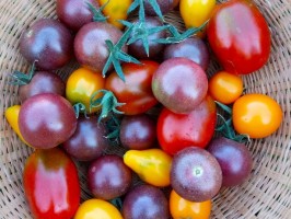 Tomates cerises mix - 250g