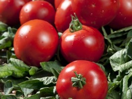 tomate paola 750 g