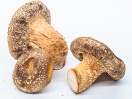 Shiitakes frais - 200g en...