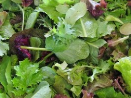 Mesclun  - 300g - bio