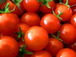 Tomate - 1kg - bio