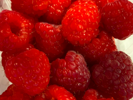 Framboises/Frambozen  - 250g