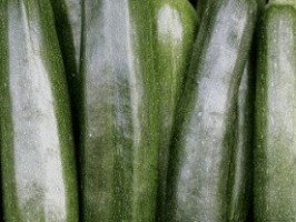 Courgettes - 1kg - bio