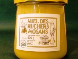 Miel toutes fleurs de printemps 500 g