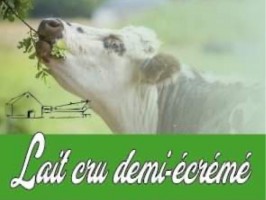 lait cru demi-écrémé 1L