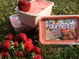 Sorbet fraise – 500ml